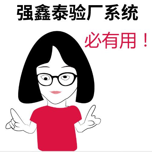 必有用验厂系统.jpg